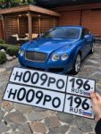 Красивый гос номер Н009РО 196