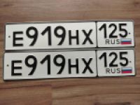 Красивый гос номер Е919НХ 125