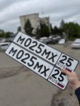 Красивый гос номер М025МХ 25
